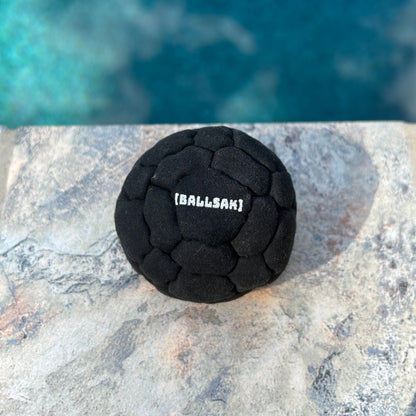 Ballsak OG 32 Panel | #1 Hacky Sack
